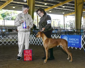 1st Major, Elkton, 4/22
