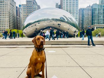 Louis LeGrande and the Bean!
