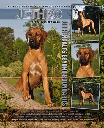 Jethro's ad in the October issue of the Ridgeback Register
