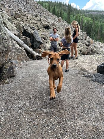 Tikka lovin' life in the Rockies!!
