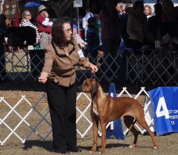 1/29/11 Ocala
