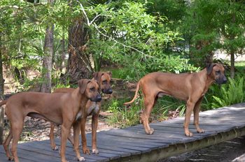 Reine Marie, Maddie & Bono - FAMILY AFFAIR!
