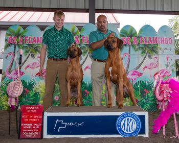 Father/Daughter win day in Newberry!   Zorii Bliss - Winners and Denbe - Best of Breed!!!
