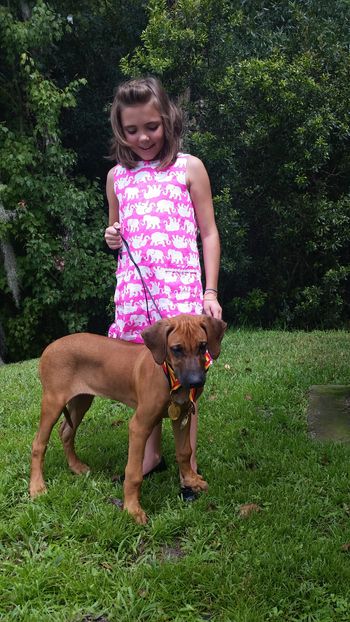 Show fun with Ms. Emily, age 9!  She showed him to his International Puppy Champion title!
