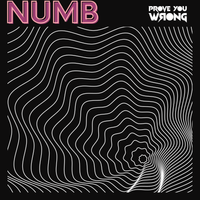 Numb by Prove You Wrong 