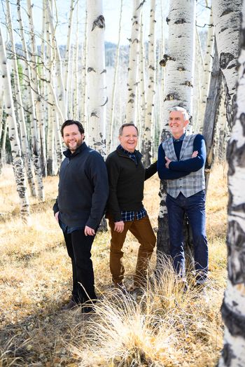 Colorado Aspen Field
