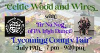 Celtic Wood and Wires with Tir Na Nog of PA Irish Dance