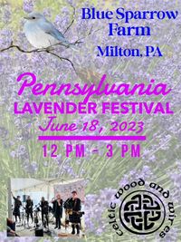 Celtic Wood and Wires at the Pennsylvania Lavender Festival