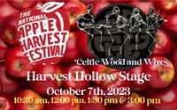 Celtic Wood and Wires at the National Apple Harvest Festival