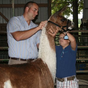 Grandson Sam getting assistance from his dad, putting a halter on their llama, Mystic Twilight
