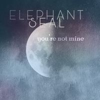You're Not Mine by Elephant Seal