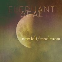 New Felt/Maelstrom by Elephant Seal