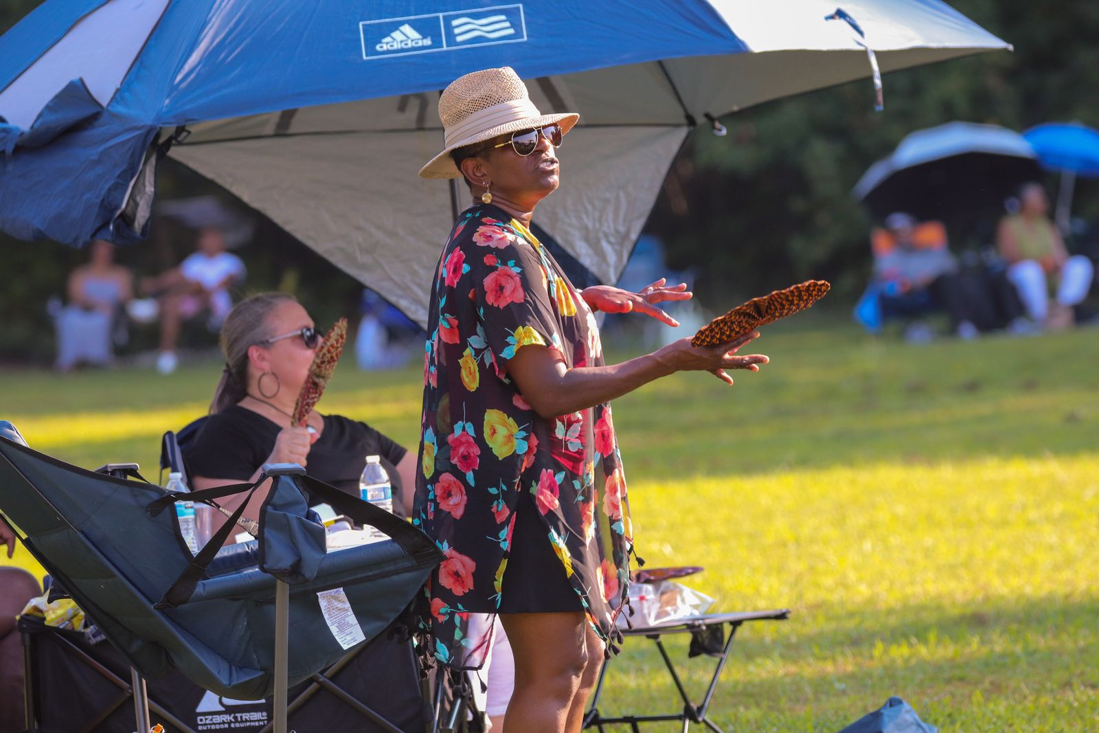 Ozark trail online umbrella