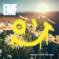 The Beauty and the Chaos by EMF
