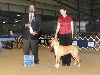 Fudge-WB for 2 points her first time shown at just 7 months old.
