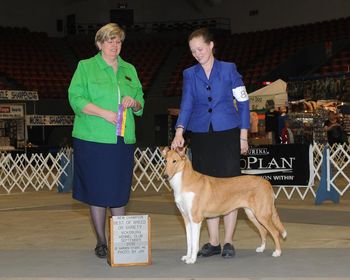 Finishing under judge Candace Kramer
