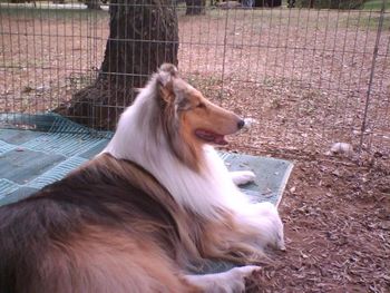 Relaxing on a camping trip in 2008
