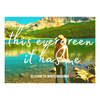 "Evergreen" Lyrics Sticker