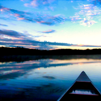 'Good Morning Algonquin'