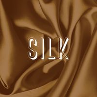 Silk by DLO the Iceman