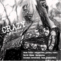 CRAZY (for Your Love) by Anna Tutor