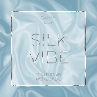 Silk Vibe by Southpaw Renegade