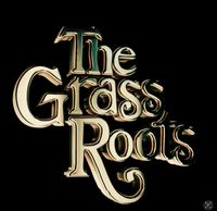 The Grass Roots - Iola Car Show
