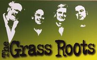 The Grass Roots - Pop, Rock, Doo-Wop LIVE