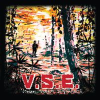 VSE (2017) de Voodoo Shango Experience