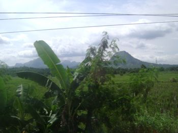 A Valcano in the city of Bicol in the Philippines...
