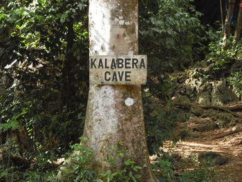 This is the Kalabera Cave... Very spooky at night..

