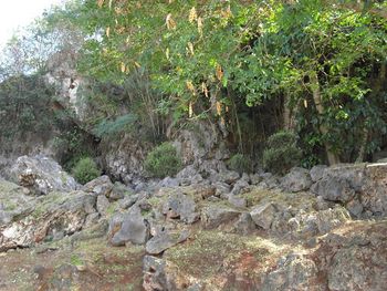 One of the hiding places of the Japanese during WWII... Saipan was a Japanese Colony after WWI. One of the hardest battles was fought on Saipan. The Americans took the island in the end. It was the strategic location into the Pacific Islands..
