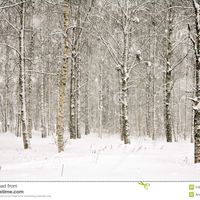 Stopping by the Woods on a Snowy Evening by Ten Ton Chicken