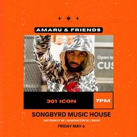 Amaru & Friends ft 301icon