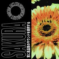 SAKURA Mixtape (Instrumental Project) by Tee-WaTT & AMBIANCE SOUND