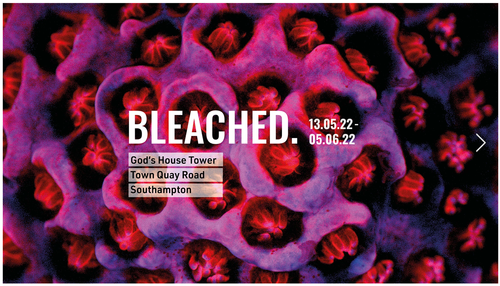 The Bleached Exhibition is running from 13th May to 5th June 2022 in Southampton