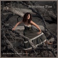 Bristlecone Pine by Sara Shiloh Rae & Bluebird Junction