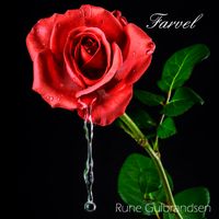 Farvel by Rune Gulbrandsen