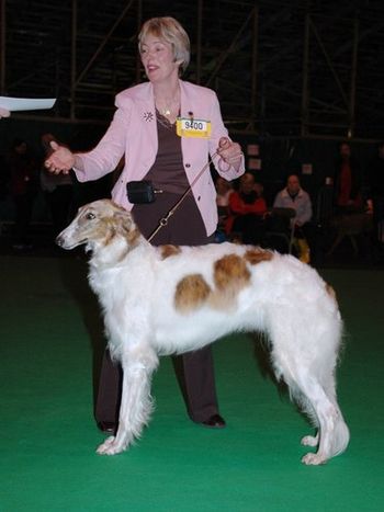 Crufts 06 - 1st from Judge Rose-Marie Downes
