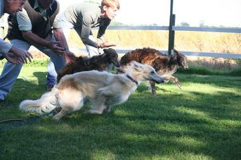 photo courtesy of Malby Photograhy Fira shows the girls how it's done:- straight racing
