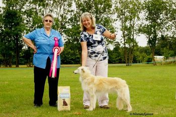 Starcastle Hounds Firefly 1st class place WB
