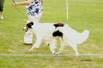 Blake - Kristull Barndance of Endevor 1st Class place, RWD
