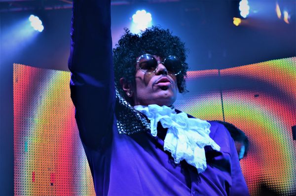 Prince Purple Rain Sunglasses