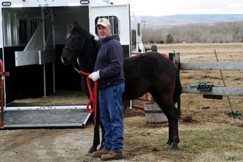 Stunner will have a new home in Wy with Kevin and Reanda
