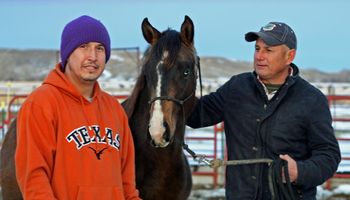 Bionic Badger now makes his home in Texas as a possible Stallion Prospect. Thank you Americo Morales
