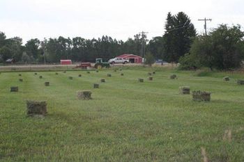 2010 was a good year for the Hay
