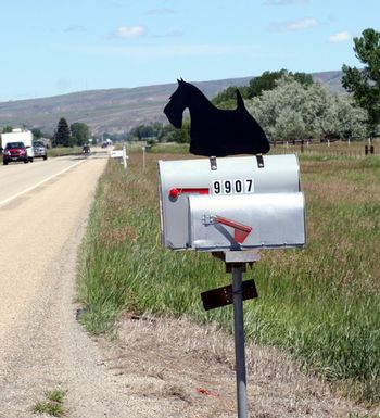 Love those Scottish Terriers and needed one on the mailbox for prospective customers to locate us
