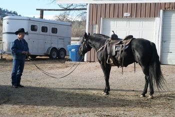 Billy Greenough and Sparractic in 2011, after a traing session
