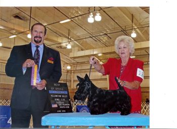 Cozyness getting an award for Best of Breed and her first major at her first show
