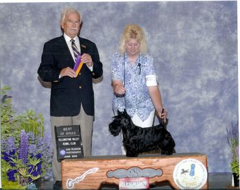 BOUNCIN BABE with her handler Val winning her class at her first show
